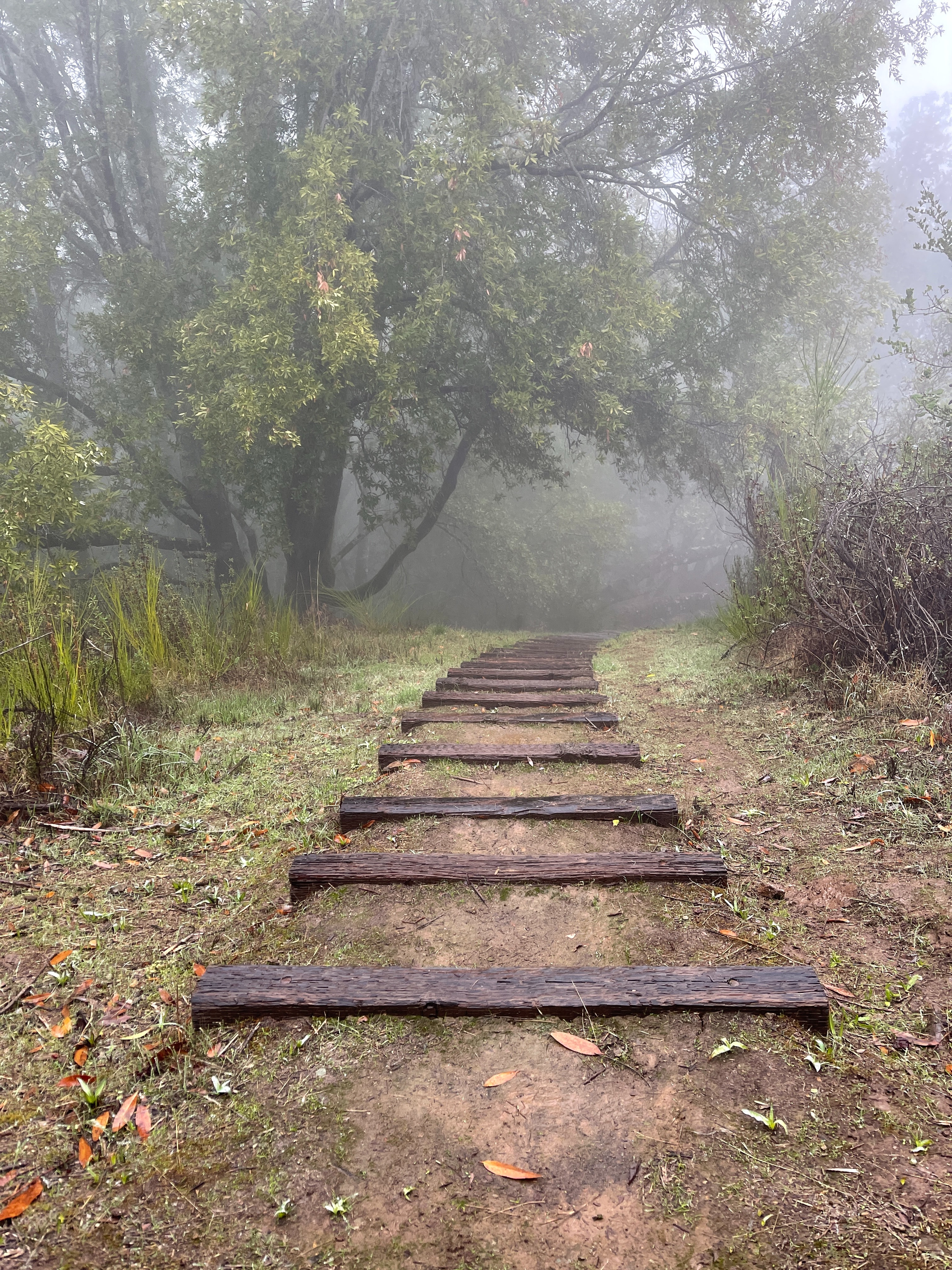 footpath